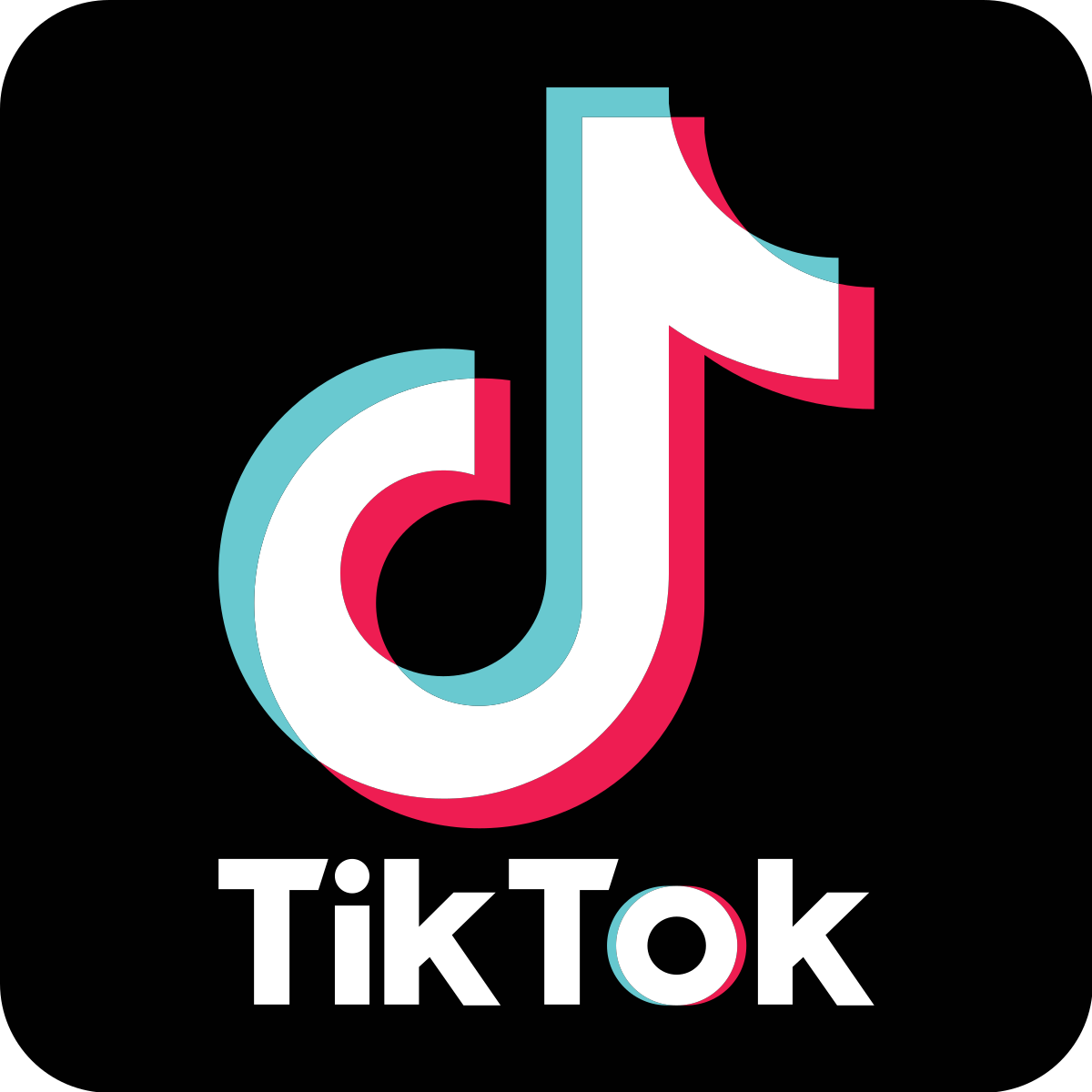 TikTok Influencer Marketing: Will It Be the Future of the Industry?